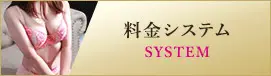 料金システム